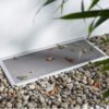 Dieses Bild Zeigt eine Lichtschachtabdeckung
