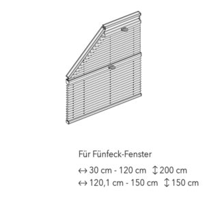 Dieses Bild zeigt alle möglichen Plissee Sonderformen wie Dreieck Kreis oder Trapetsfenster