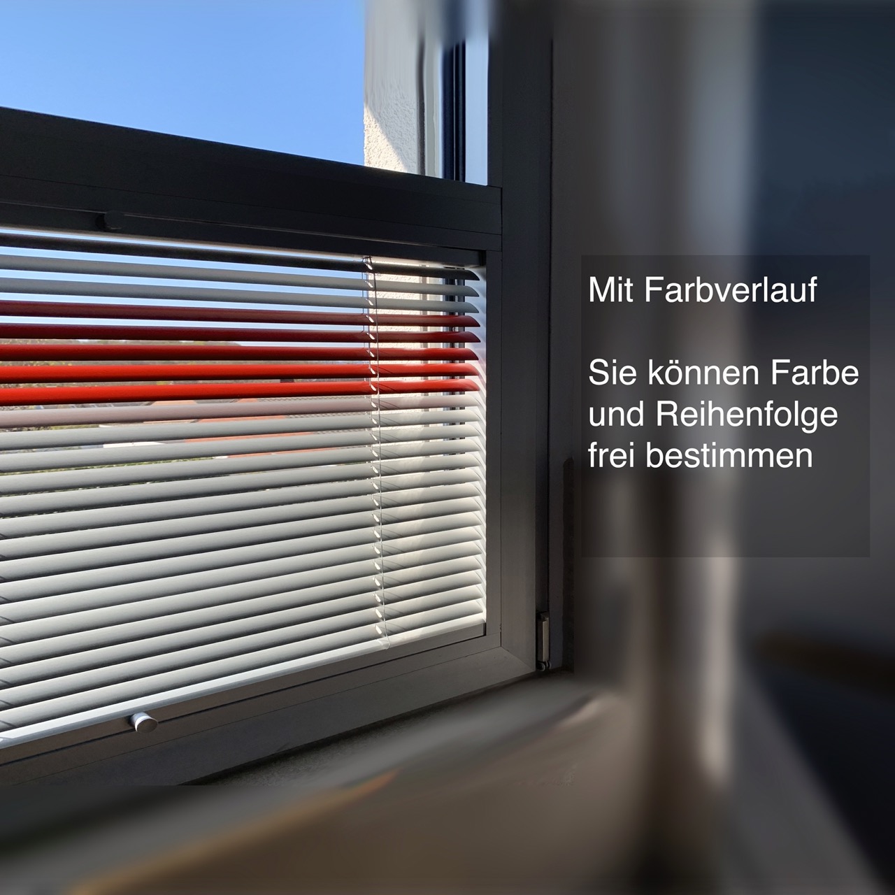 Dieses Bild zeigt eine Jalousie von MHZ